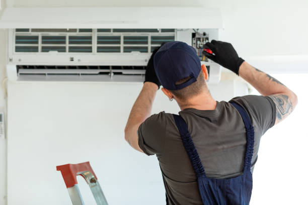 Air Duct Mold Removal in Pana, IL