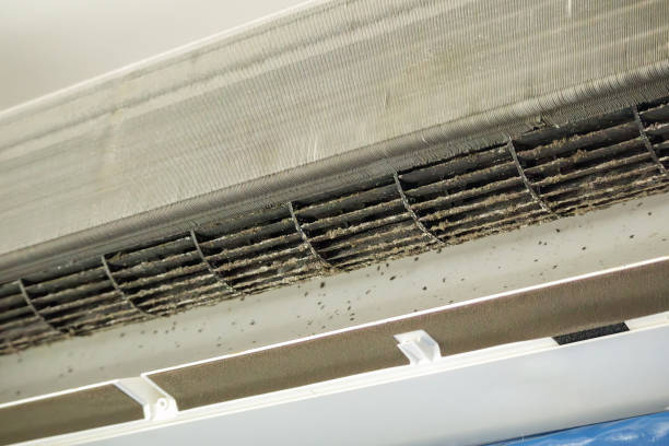 Best Professional Duct Cleaning Services  in Pana, IL